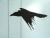 _B000267croofm.jpg